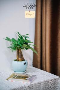 eine Topfpflanze auf einem Tisch in der Unterkunft La ruelle Huế homestay in Thôn Kim Long (1)