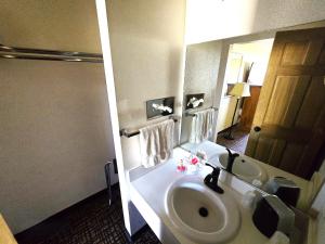 a bathroom with a sink and a toilet and a mirror at Econo Lodge Eagle Nest in Eagle Nest +22 photos