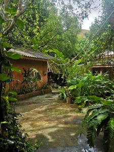 un giardino di fronte a una casa con alberi di Hanuman Heights a Unawatuna