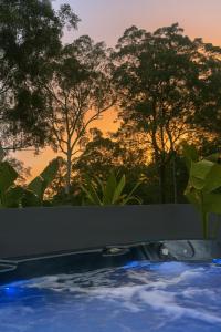 a swimming pool with trees in the background at Hinterland Heights in Canungra
