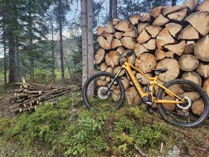 Jízda na kole v ubytování Ośrodek Edukacji Leśnej LEŚNIK w Zakopanem nebo okolí