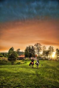 two people riding horses in a field at sunset at Apartments Fairy Land in Rakovica