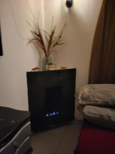 a living room with a fireplace with a plant at Apartastudio con baño privado y chimenea in Chía