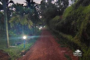 a dirt road with street lights in a forest at night at Gokarna Glimpse Getaway in Gokarna
