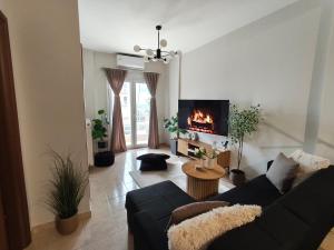 アレクサンドルポリスにあるJoanna Dalatsi's Luxury Houseのソファと暖炉のあるリビングルーム