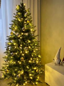 a christmas tree with lights in a room at Your Lapland Adventure Base in Rovaniemi