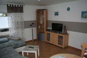 Brilon-WaldにあるFerienwohnung Sammetのソファとテレビのあるリビングルーム