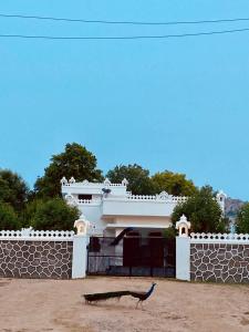 a bird walking in front of a building at Chitrak stays Jawai in Bijāpur
