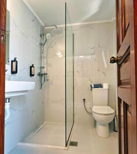 a bathroom with a shower and a toilet and a sink at Pasiphae Hotel in Skala Kallonis