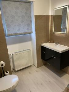 a bathroom with a sink and a toilet and a mirror at LetzCamp Mullerthal Apartments in Grundhof