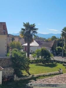 vistas a un patio con una palmera en Villa Milady Suite, en Salies-du-Salat