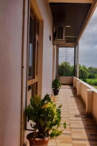 an empty balcony with potted plants on it at Shukra Homestay Hampi,kaddirampura in New Hampi