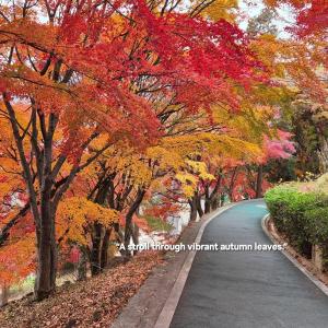 Gambar di galeri bagi OASIS-stay di Yeosu