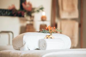 クレインモンドにあるVilla Chad Luxury Guesthouseの植物の上のタオル +17枚の写真