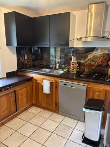 a kitchen with wooden cabinets and stainless steel appliances at Le montagnard in Le Monêtier-les-Bains