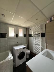 a bathroom with a washing machine and a toilet at Le montagnard in Le Monêtier-les-Bains