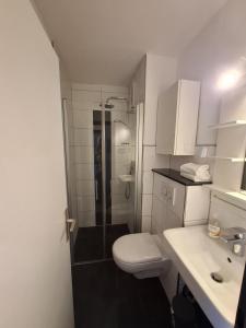 un bagno con doccia, WC e lavandino di Strandhotel Wohnung 30 a Dahme