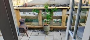 two plants in vases sitting on a patio at 4Guest-2Bedroom-Wifi-Parking in Deerpark +7 photos