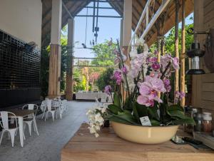 卡萨内The Residence Villa Chobe的一个大花瓶,上面放着鲜花