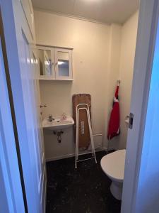 a small bathroom with a sink and a toilet at Cozy fjordside house, with mountain view  +10 photos