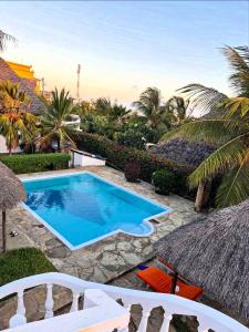 een zwembad in een tuin met palmbomen bij villa luna in Watamu