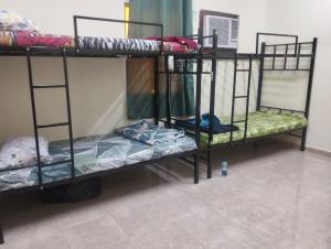 una stanza con tre letti a castello in una stanza di Muscat Women's Hostel a Mascate