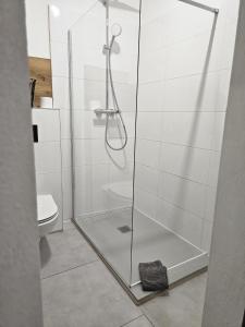 una ducha con puerta de cristal en un baño en Theatr City Centre, en Zielona Góra