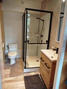 a bathroom with a shower and a toilet at Gite de la chapelle in Nogaro