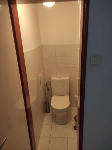 ein kleines Bad mit WC in einem Zimmer in der Unterkunft Zizkov Room - City Center Near By in Prag