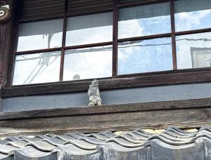un hibou assis sur le rebord d'une fenêtre sur un toit dans l'établissement Rinn Kishoan, à Kyoto