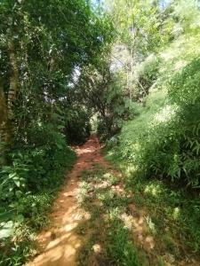 Příroda nedaleko prázdninového domu + 1 fotografie