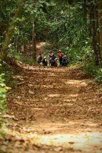 Επισκέπτες που μένουν στο Wildlife Reserve La Ceiba Ecoadventures