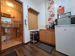 une petite cuisine avec un réfrigérateur et un évier dans l'établissement Casa Farcaș Bușteni, à Buşteni 11 autres photos