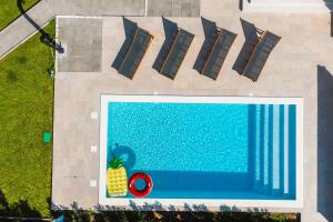 an overhead view of a swimming pool with a pineapple next to it at Holiday Home Bodula in Mrljane