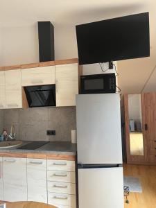 a kitchen with a white refrigerator and a microwave at Shark in Liepāja +15 photos