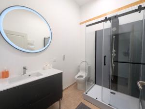 ein Badezimmer mit Waschbecken, Spiegel und Toilette in der Unterkunft Duplex dans grande ferme rénovée in Divonne-les-Bains + 16 Fotos