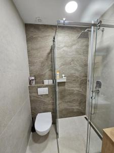 a bathroom with a toilet and a shower at Apartman Oki in Belgrade