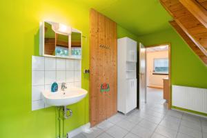 a bathroom with a sink and a green wall at Ferienwohnung - Finnhütte in Quitzdorf +17 photos