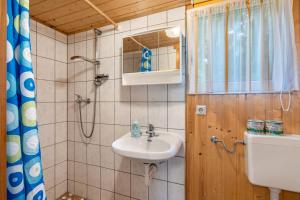 un bagno con lavandino e doccia di Bungalow 11 - Finnhütte a Quitzdorf Altre 12 foto