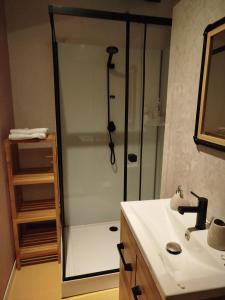 a bathroom with a shower with a sink and a sink at Gite de la chapelle in Nogaro +16 photos