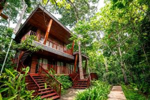 a wooden house in the middle of a forest at De Foret in Havelock Island