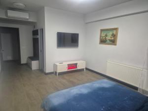 sala de estar con TV y alfombra azul en Carul cu Flori, en Craiova