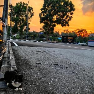 Fotografie z fotogalerie ubytování Yi Jiu Homestay v destinaci Mersing