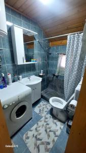 a bathroom with a toilet and a sink and a shower at Tarčin Village Retreat in Tarčin +8 photos