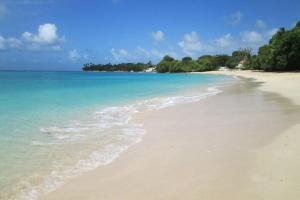 una playa con agua azul y árboles en el fondo en wKd bEach loFts THuNDER bAy orange, en Saint James