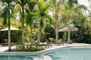 a swimming pool with chairs and palm trees at Soul Spring Sanctuary Cuernavaca in Xochitepec