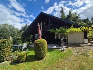 a house with a patio and an umbrella in the yard at Steffis Hochwaldidyll in Heddert