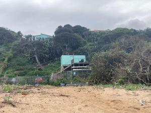 a house on top of a hill with trees at uMkhaKhaya Container Home in Westbrook +2 photos