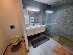 a bathroom with a toilet and a sink and a shower at Parenthèse contemporaine - Élégance et nature in Parigné-lʼÉvêque +13 photos
