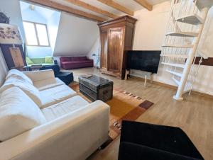 ein Wohnzimmer mit Sofa und Fernseher in der Unterkunft Triplex sur les hauteurs de Divonne in Divonne-les-Bains